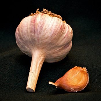 Organic German Red Garlic Seed