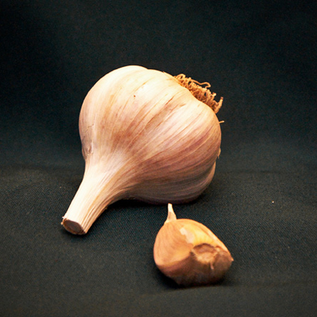 Early Red Italian Gourmet Garlic Bulbs Organically Grown/ Plant Seed PRE-ORDER