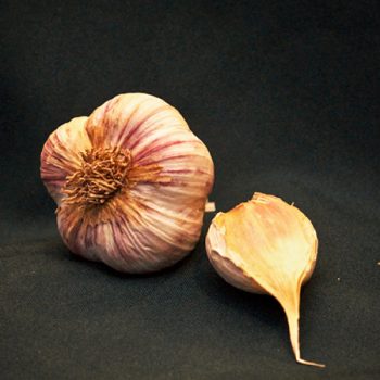 Organic Metechi Garlic Seed