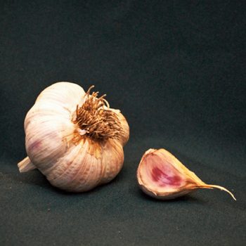 romanian red garlic for sale