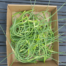 garlic scapes for sale