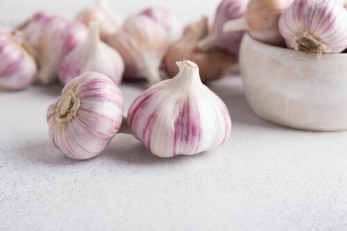 chesnok red garlic
