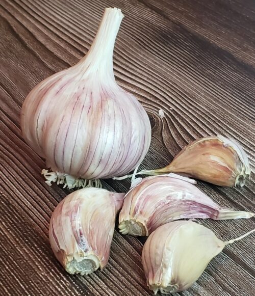 persian star garlic