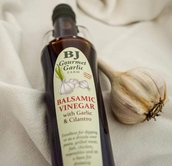 Balsamic Vinegar with Garlic and Cilantro garlic balsamic vinegar