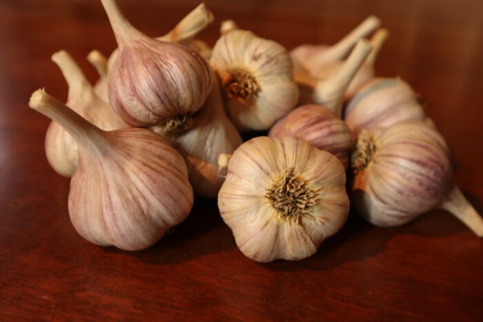turkish red garlic