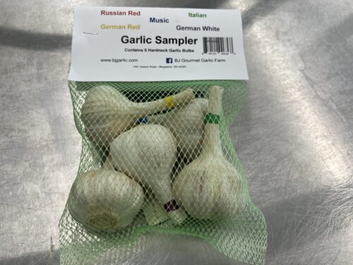 garlic bulb sampler