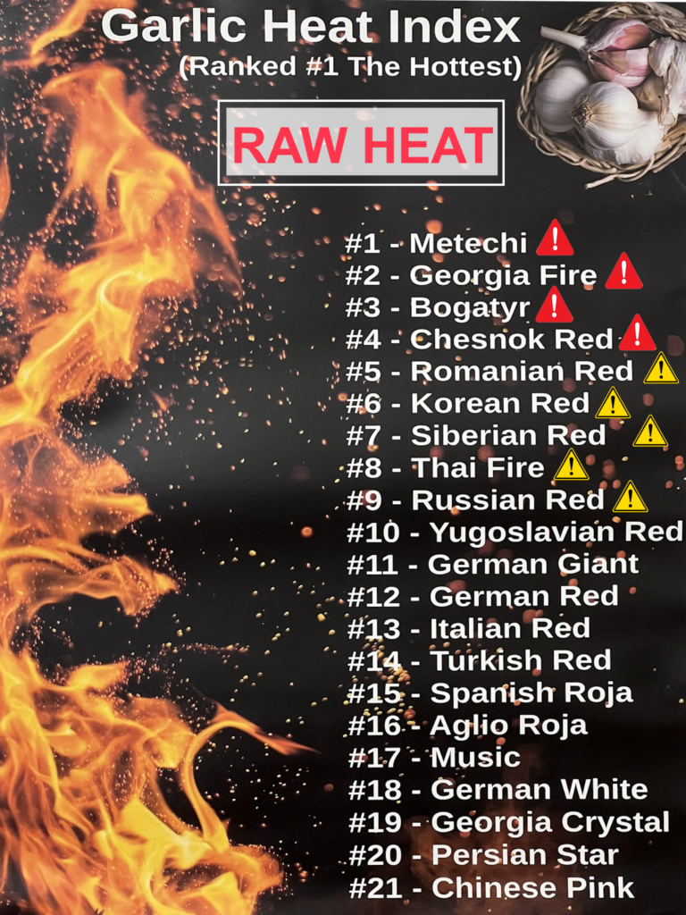 raw garlic heat index