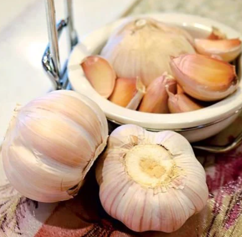 chinese pink garlic