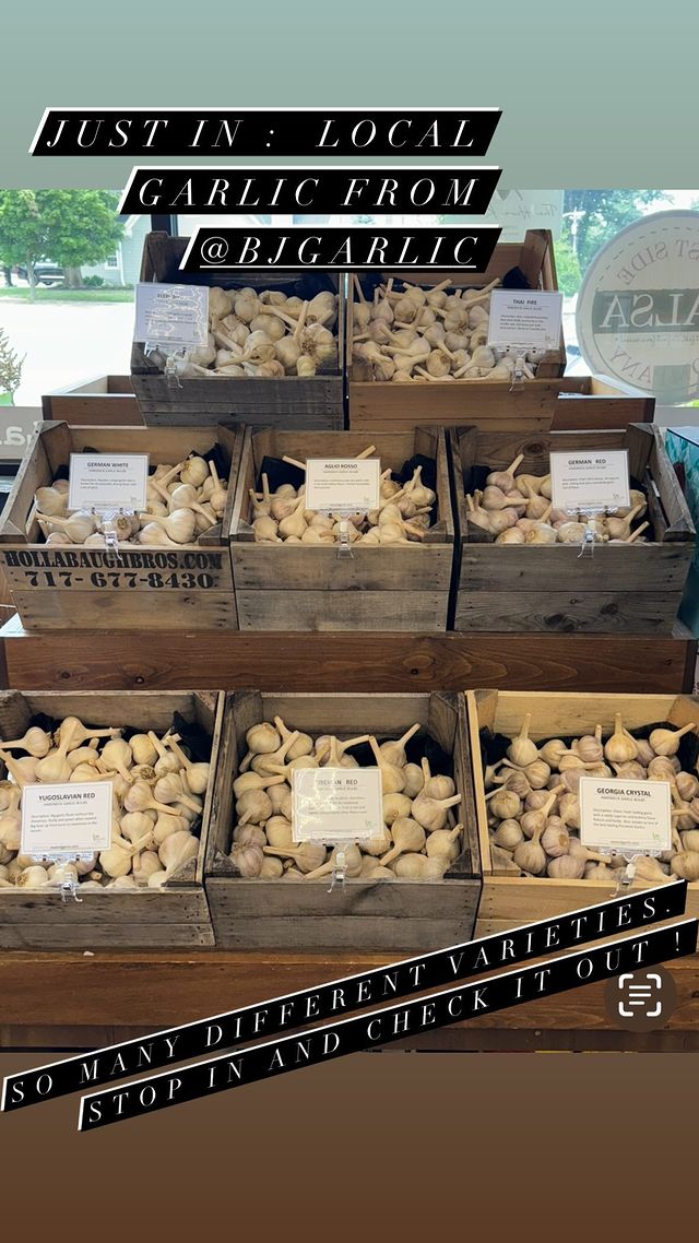 garlic storage