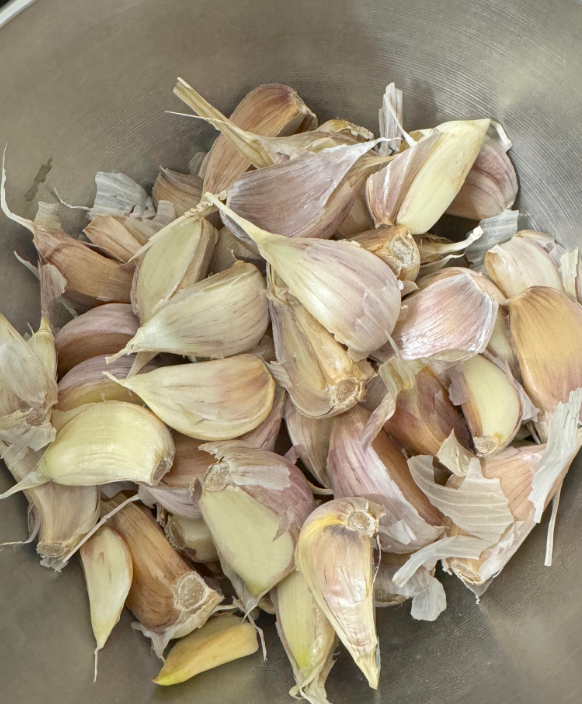 aglio rosso garlic seed