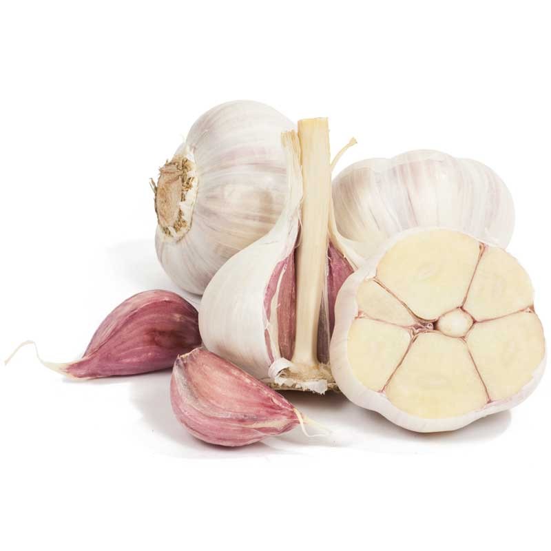 georgian-fire garlic bulbs