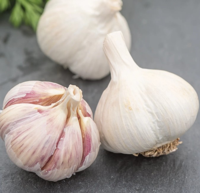 romanian red garlic