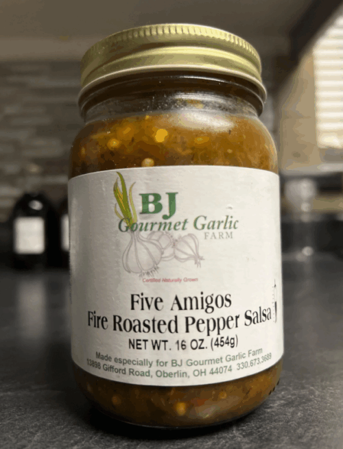 five amigos salsa