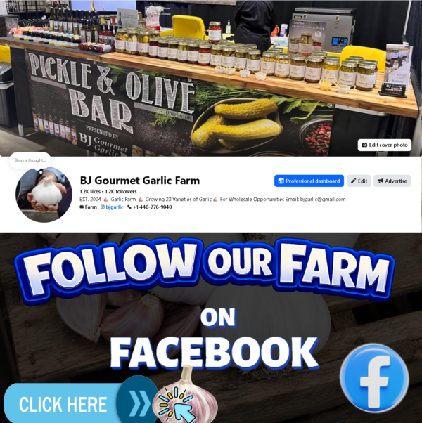 bj garlic farm facebook page